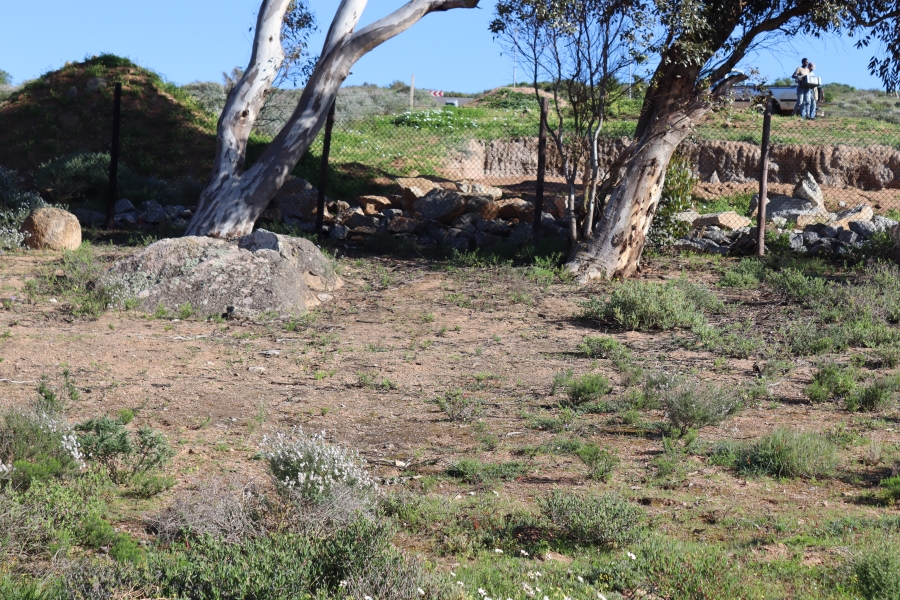 0 Bedroom Property for Sale in Steenbergs Cove Western Cape